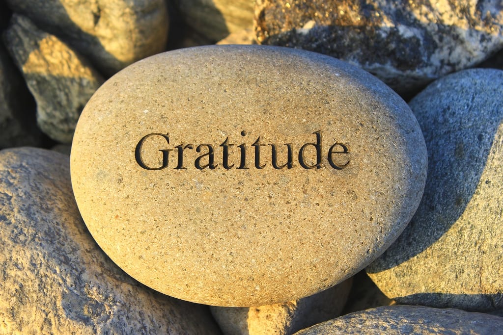 The Power of Gratitude