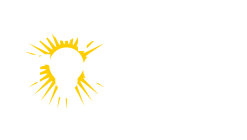 People Productive